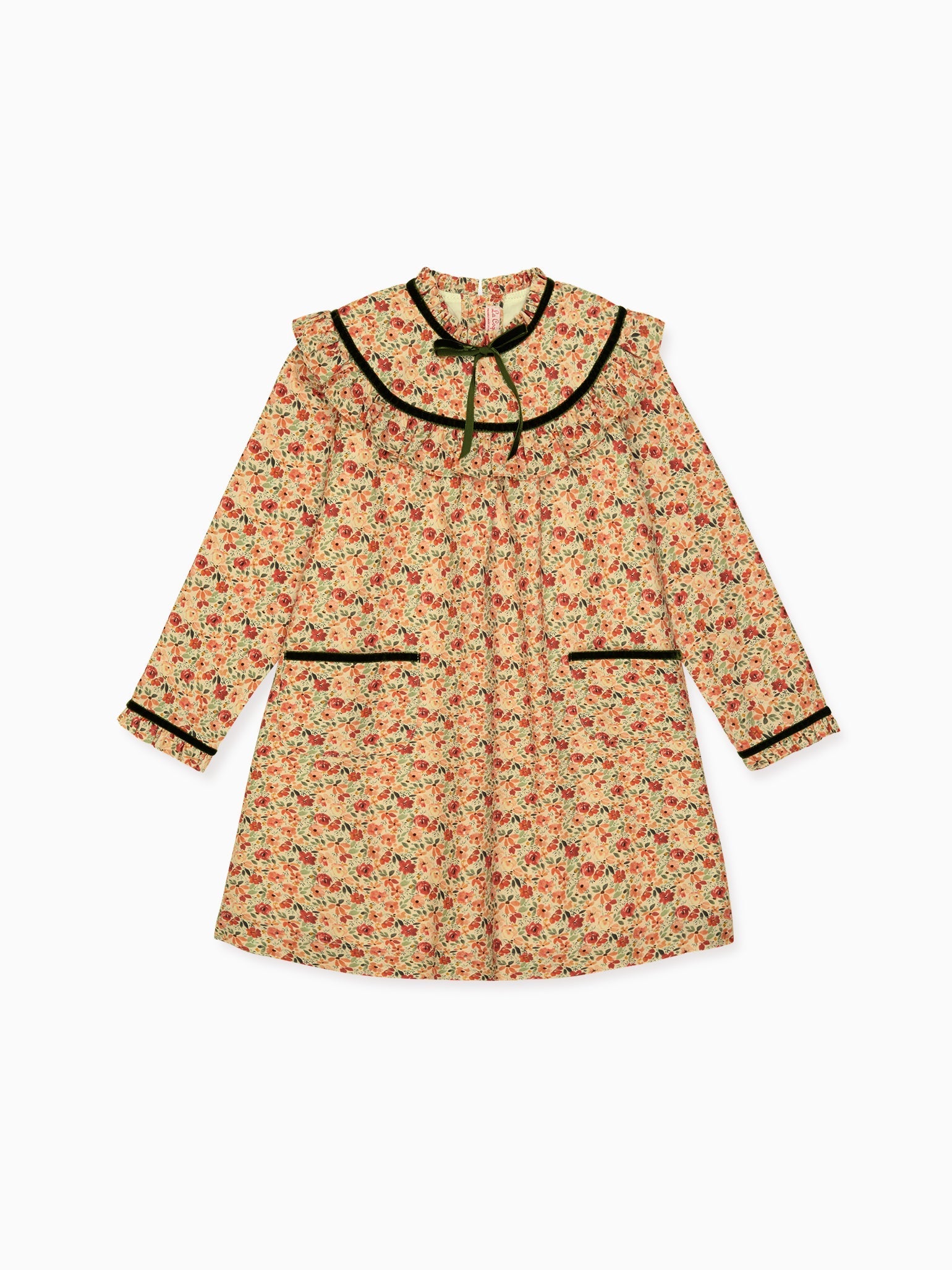 Terracotta Floral Alita Girl Empire Dress