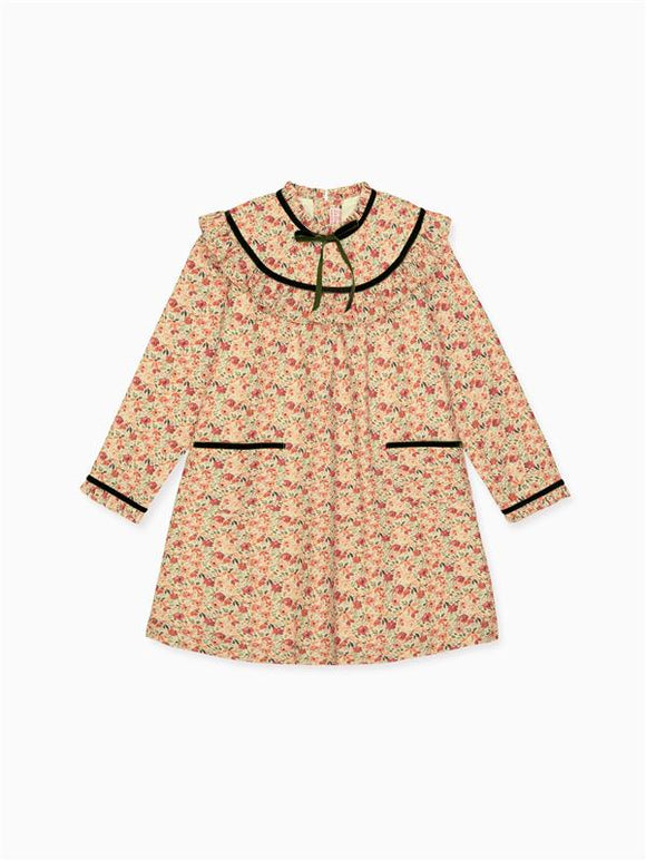 Terracotta Floral Alita Girl Empire Dress
