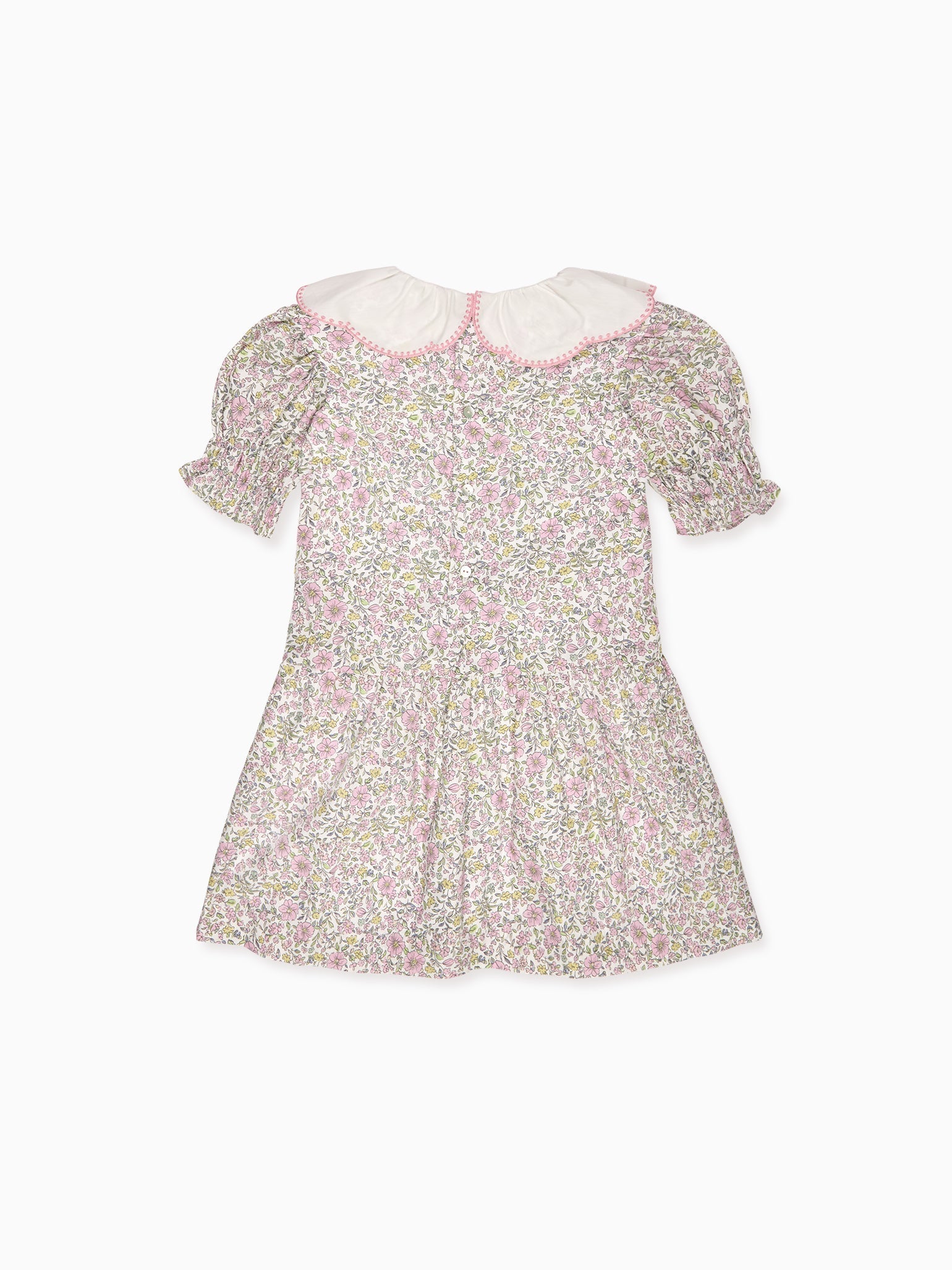 Nicky Hilton x La Coqueta Sage Floral Iris Girl Drop Waist Dress