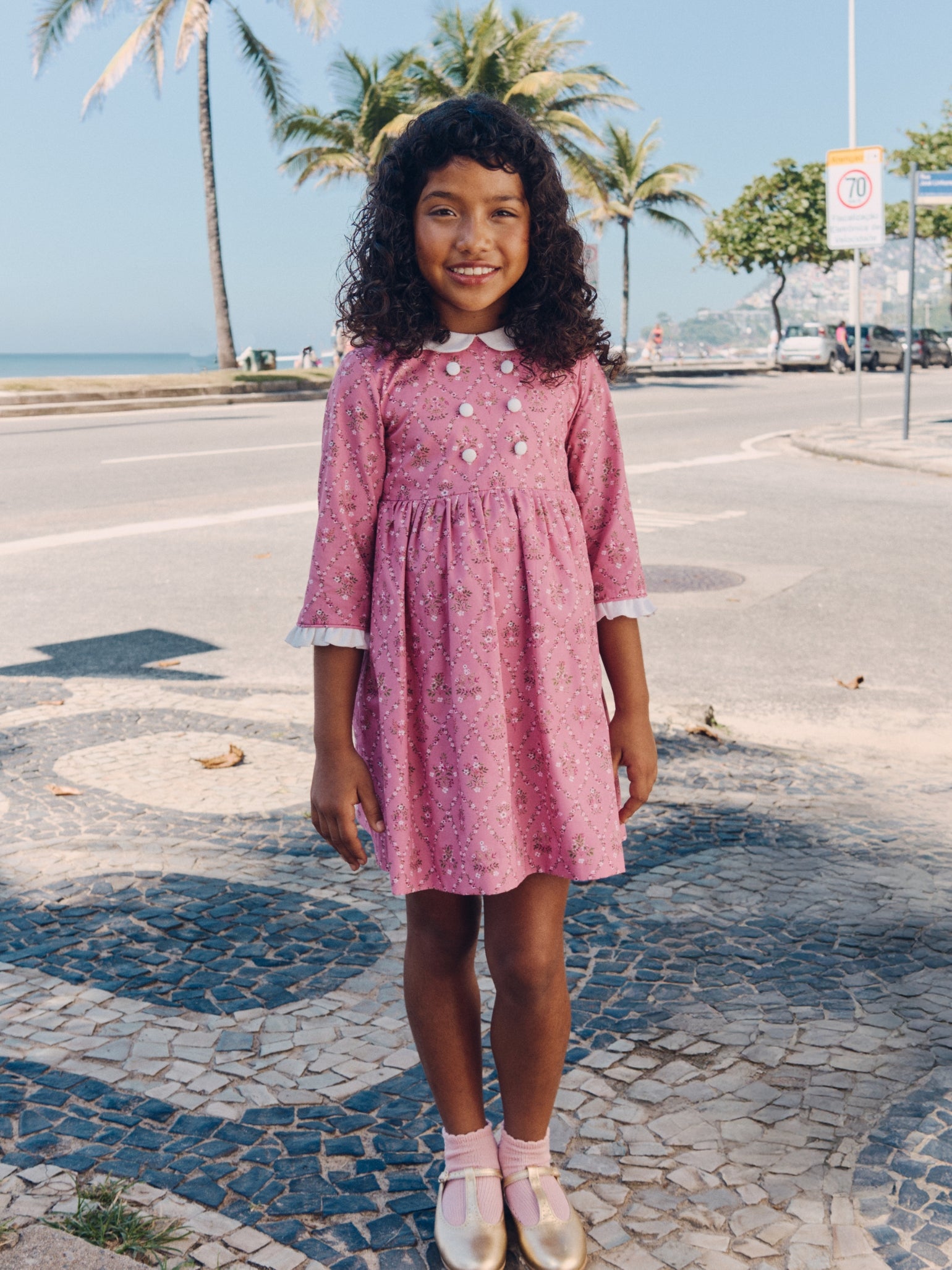 Pink Garland Trellis Provenza Girl Dress