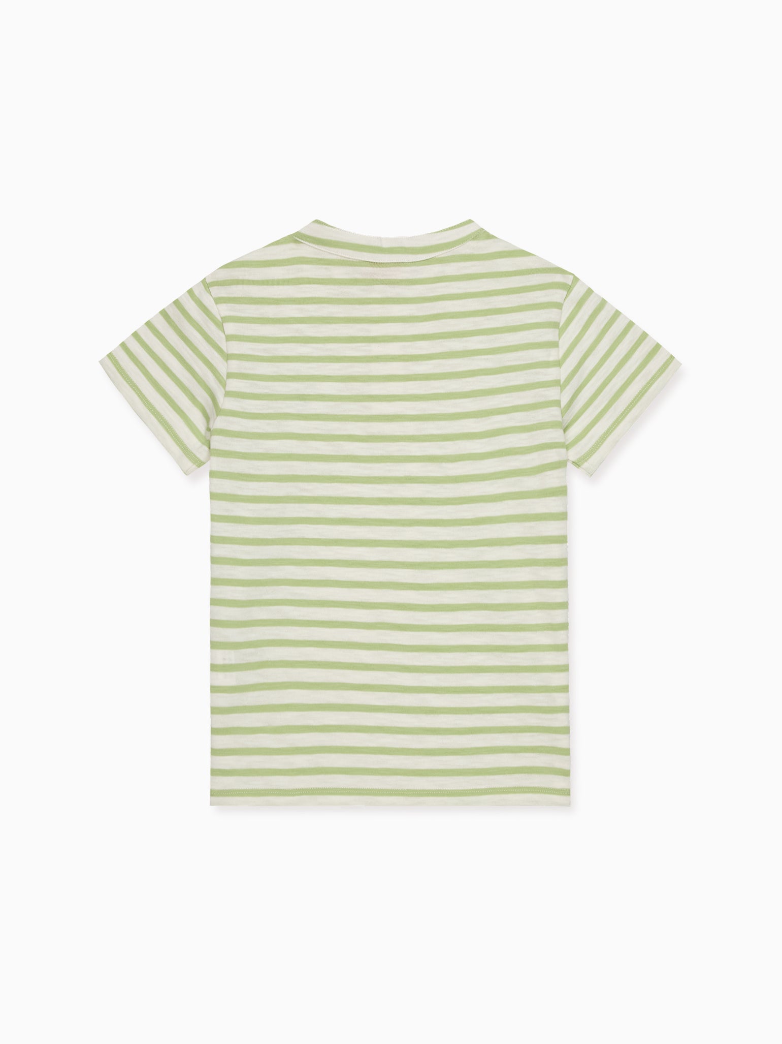 Sage Stripe Alcon Boy Polo Shirt