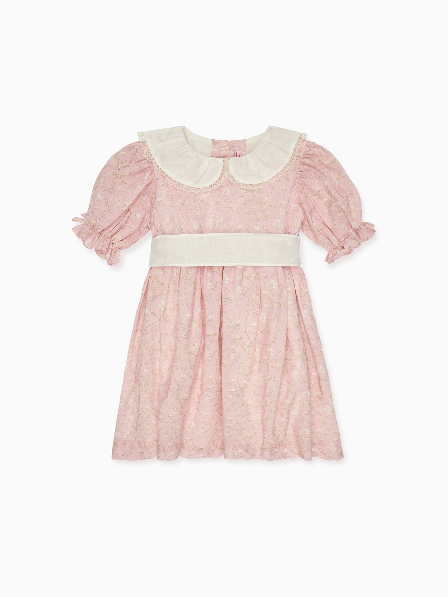 Pink Toile Amara Girl Dress
