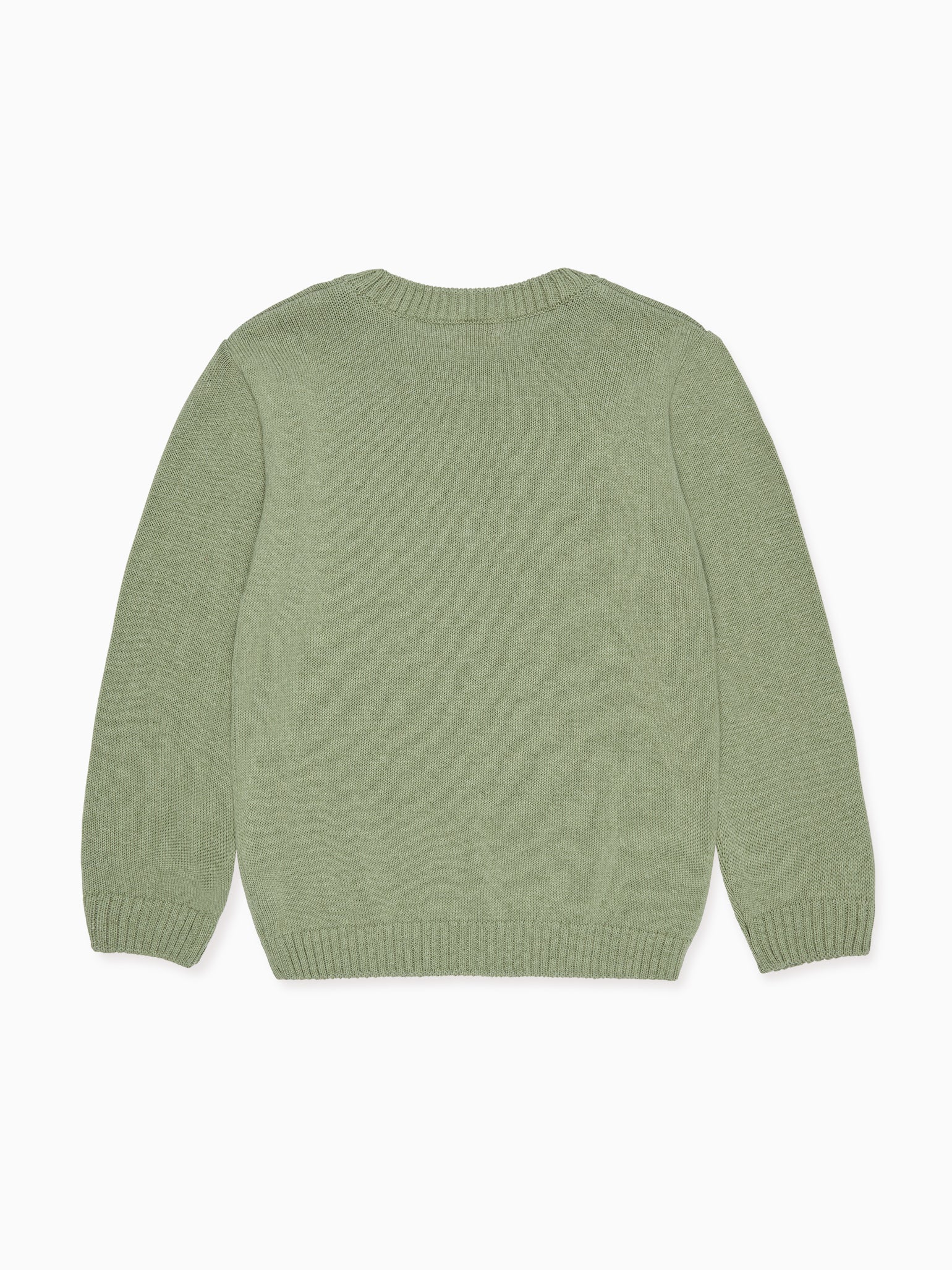 Sage Berto Cotton Boy Jumper