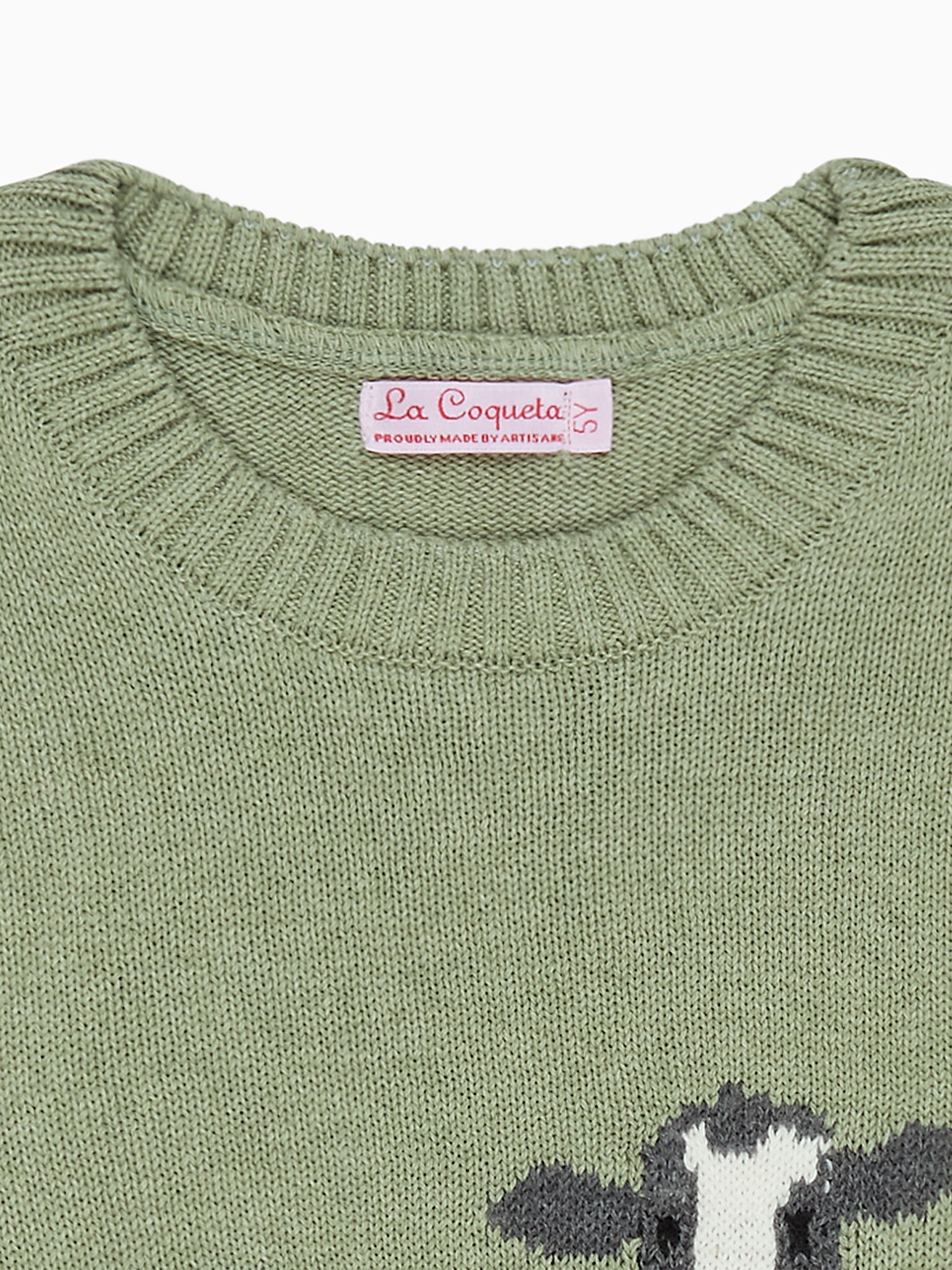 Sage Berto Cotton Boy Jumper