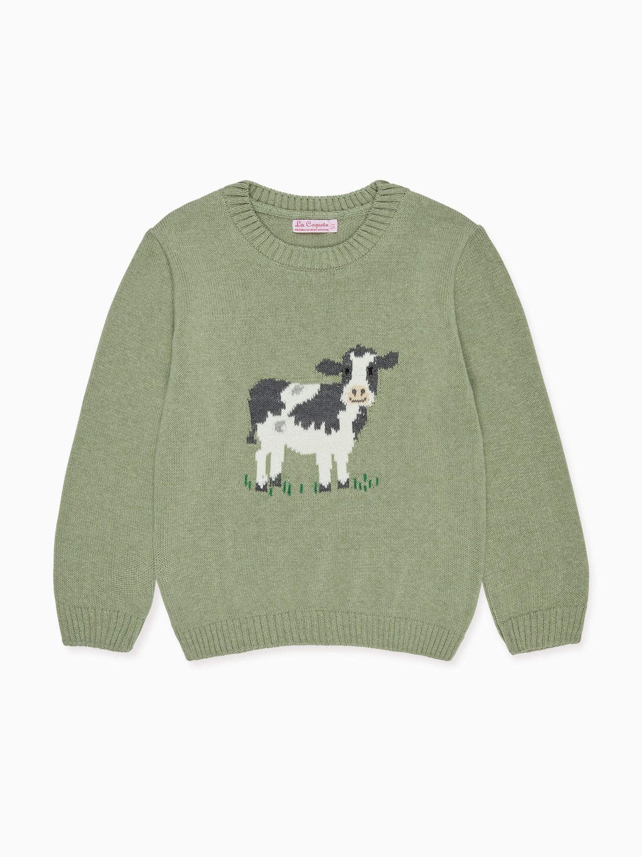 Sage Berto Cotton Boy Jumper