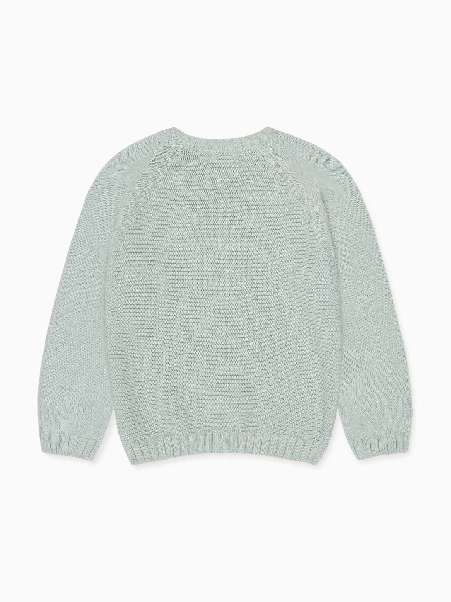 Sage Lorca Cotton Boy Jumper