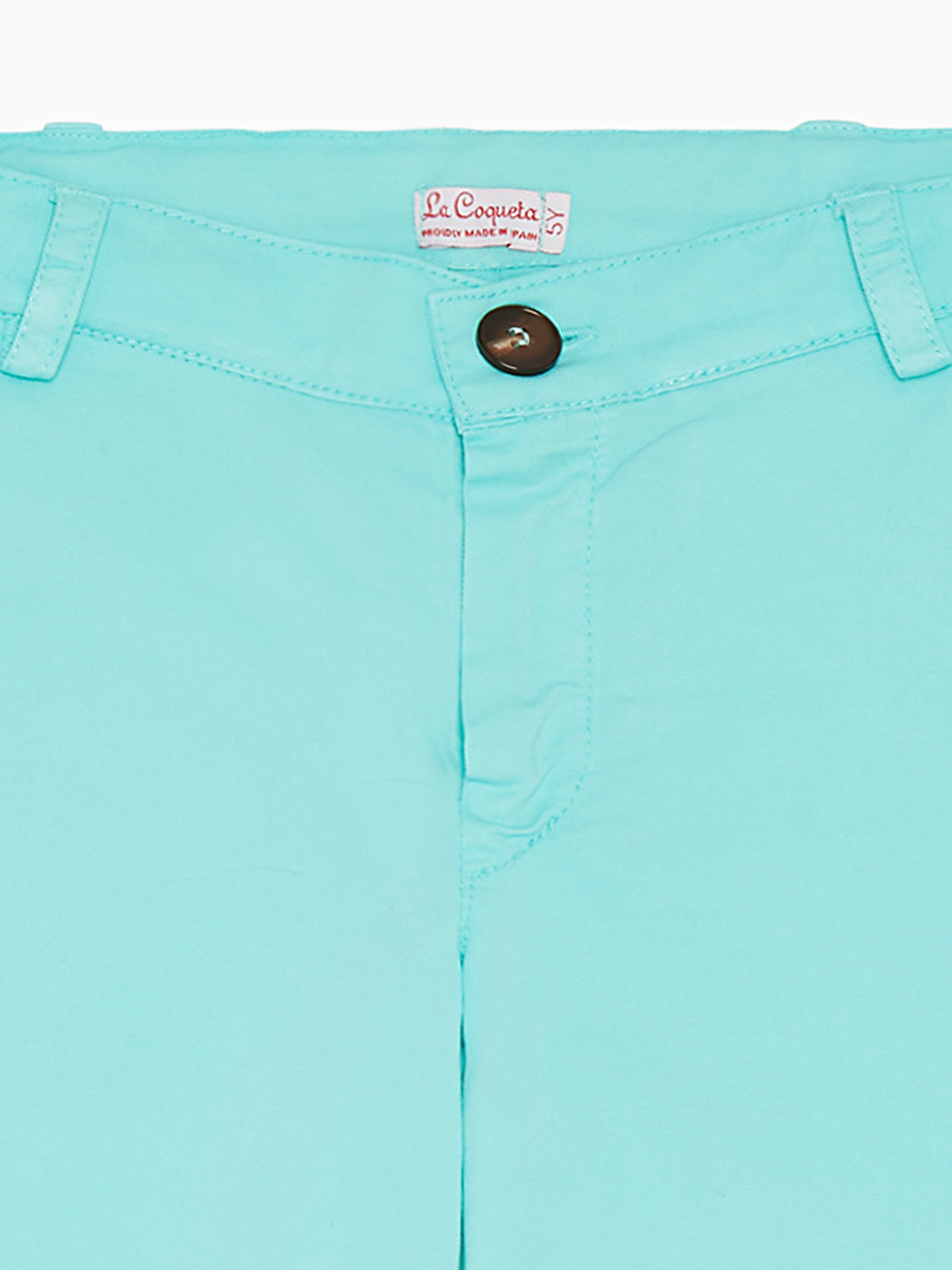 Turquoise Elio Boy Chinos